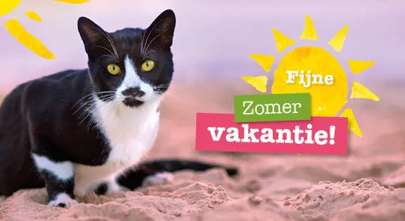 Nieuw folder en acties vanaf 29 juni online